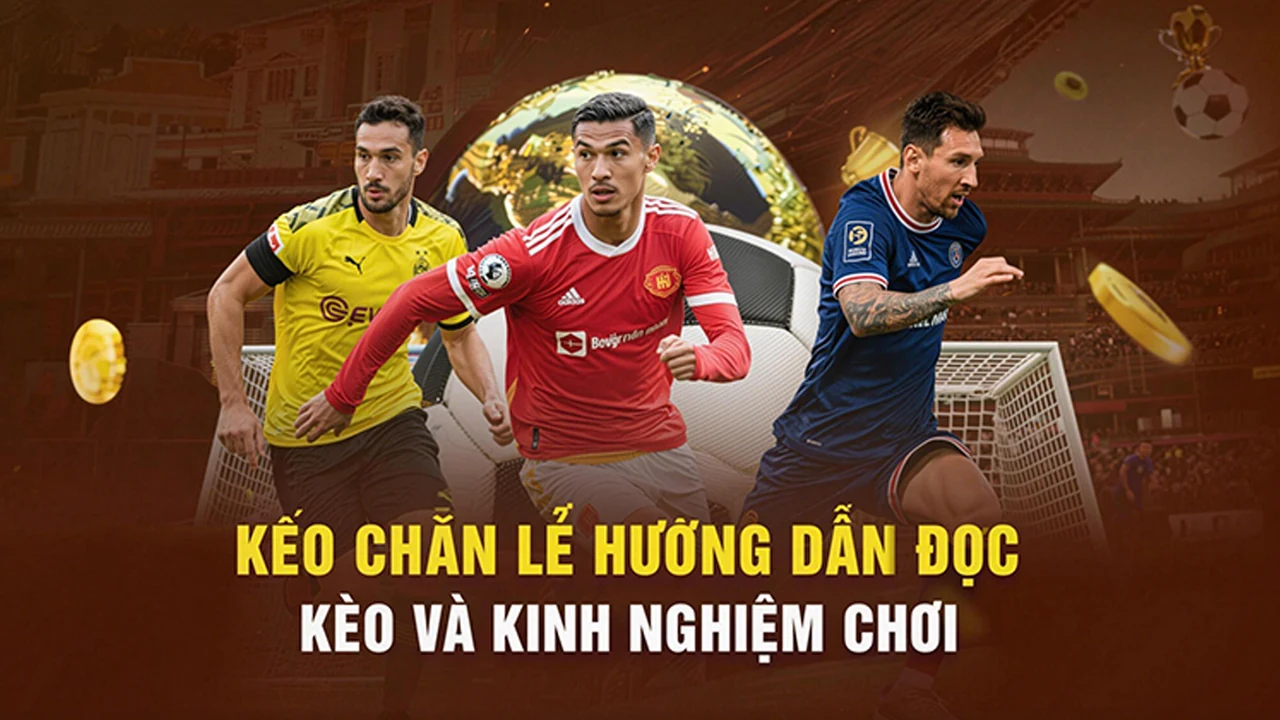 Dữ liệu Thể thao cùng KK8: 7 lỗi thường gặp và cách xử lý